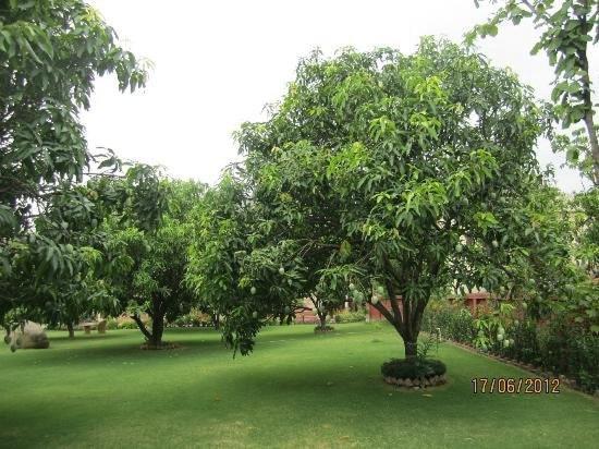 רמנגר Jim Corbett Resort מראה חיצוני תמונה